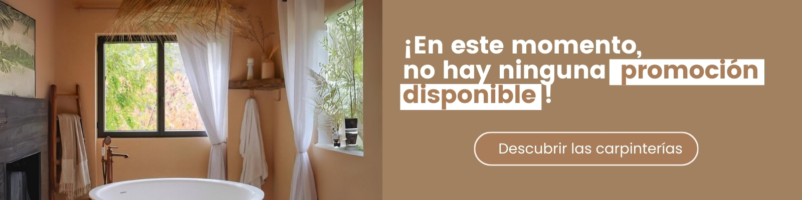 Sin promoción - Version Desktop